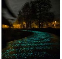 Carretera luminiscente y carril bici Carretera luminiscente y carril bici